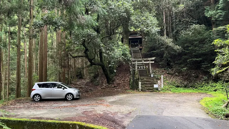 鳥居杉 日本でここだけ！？ 神秘的な高知のパワースポット