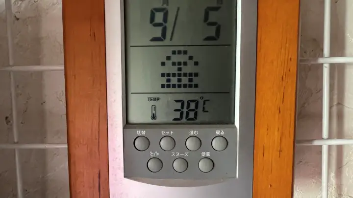 いくら暑いの平気だからって!室温38℃の部屋で平気で寝てるトラちゃん!