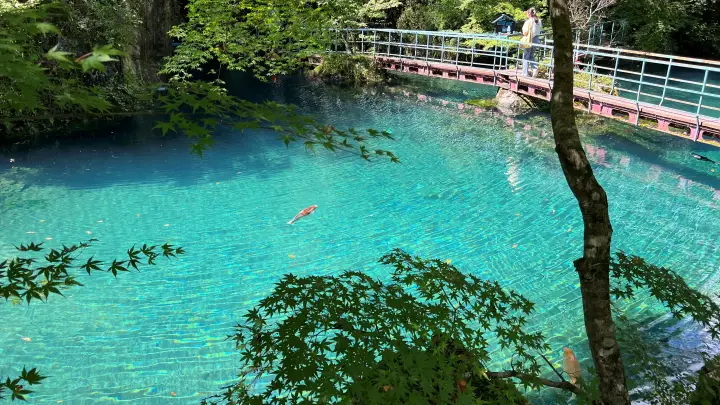 四国カルスト天狗高原でランチ 白龍湖にも行ったよ 夏の恒例ドライブ