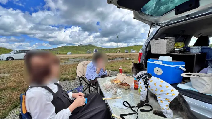 四国カルスト天狗高原でランチ 白龍湖にも行ったよ 夏の恒例ドライブ
