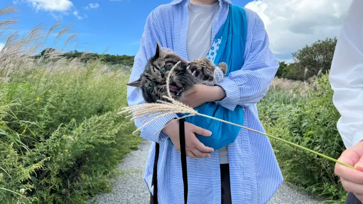 四国カルスト天狗高原でランチ 白龍湖にも行ったよ 夏の恒例ドライブ