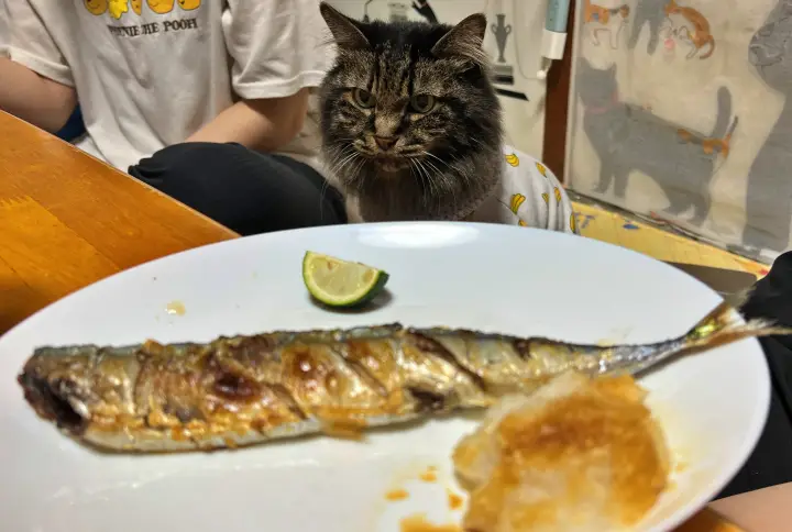 大野ヶ原の大根やアイスクリームが美味しい 四国カルスト天狗高原ドライブ
