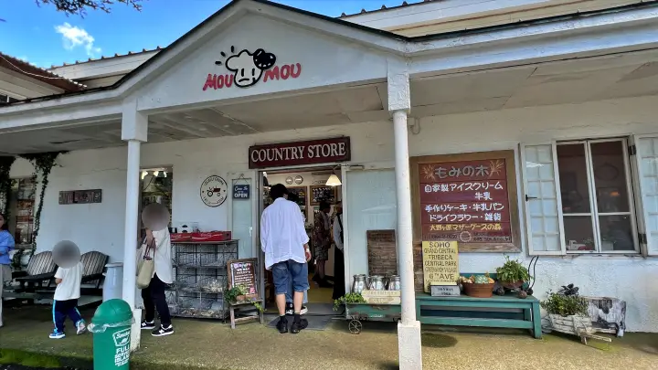 大野ヶ原の大根やアイスクリームが美味しい 四国カルスト天狗高原ドライブ