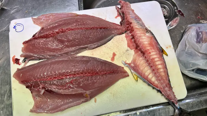 猫大好物 マグロがやって来た! このままじゃ食べれないよー!?