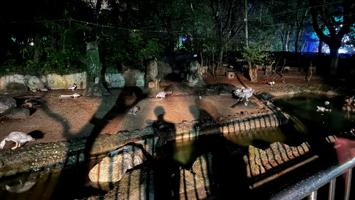 のいち動物園 大人気 夜のイベント のいちdeナイトへ行ってみました。