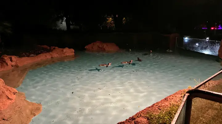 のいち動物園 大人気 夜のイベント のいちdeナイトへ行ってみました。