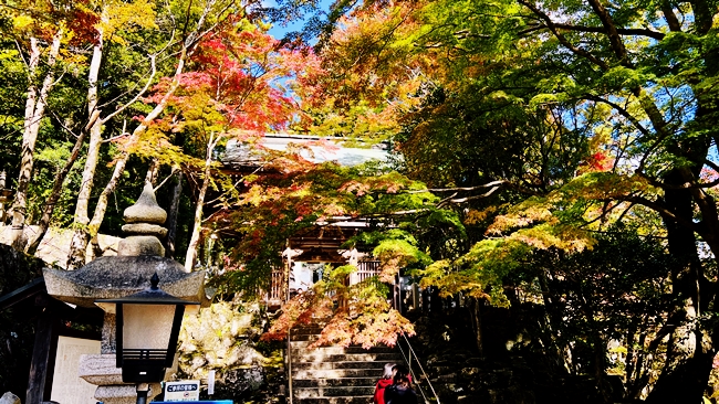 香川県さぬき市の大窪寺で紅葉に包まれる二天門