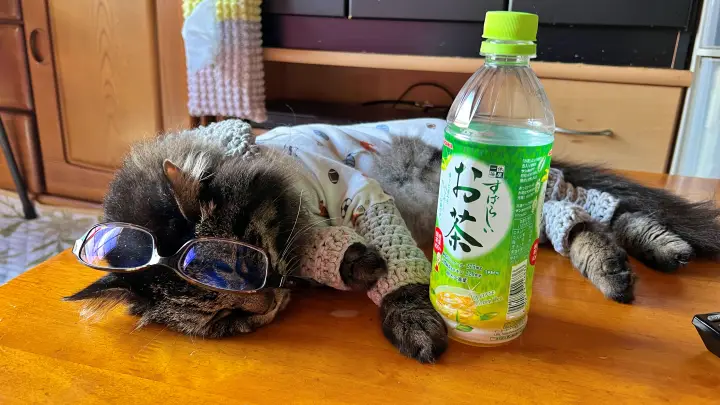 10月半ばなのに暑いけど実はお昼寝には最高 朝晩は涼しい