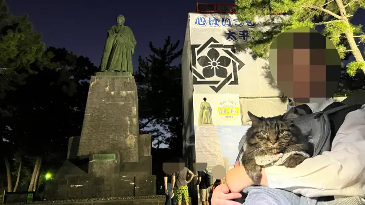 桂浜で中秋の名月を楽しむ トラちゃんと一緒に秋のおでかけ