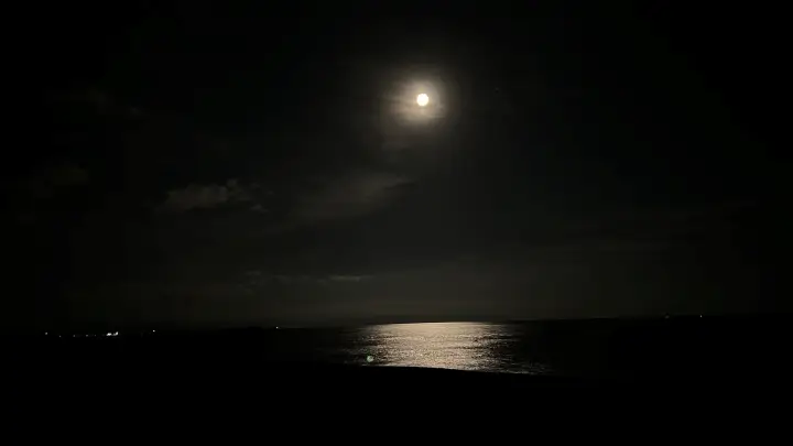 桂浜で中秋の名月を楽しむ トラちゃんと一緒に秋のおでかけ