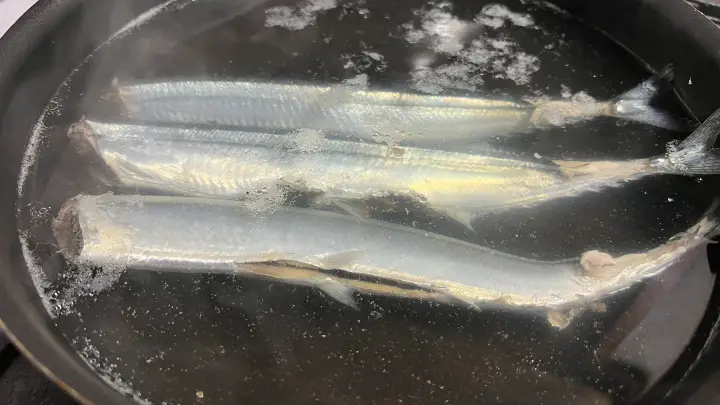 秋刀魚は茹でるのが美味しいらしい やってみようw
