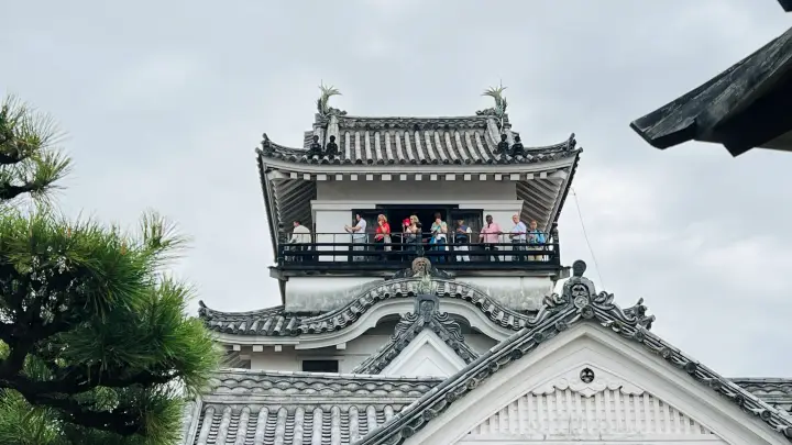 高知城は外人さんで大賑わい 豪華クルーズ客船が来ると田舎に人いっぱい！