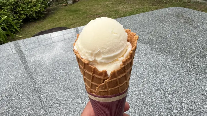 奈半利町コスモス畑 いごっそラーメンとアイスクリーム 猫の秋ドライブ