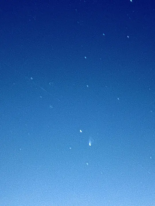 レモン彗星を探せ！ ゆとりすとパークで天体観測 トラちゃんはお散歩