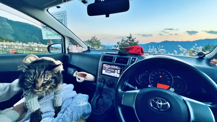 レモン彗星を探せ！ ゆとりすとパークで天体観測 トラちゃんはお散歩