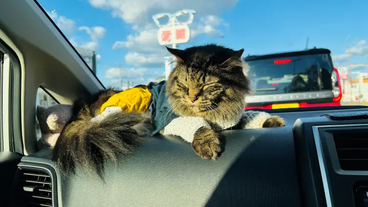 五台山展望台 高知市が一望できる新施設「ソラミアン」が出来るそうです。