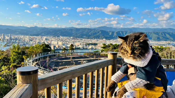 五台山展望台 高知市が一望できる新施設「ソラミアン」が出来るそうです。