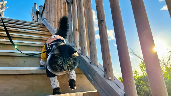 五台山展望台 高知市が一望できる新施設「ソラミアン」が出来るそうです。