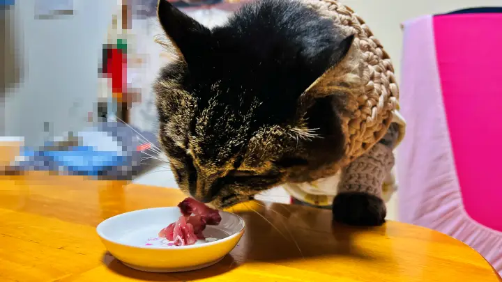 ハマチ さすがは猫のトラちゃん 鮮度抜群で美味しい事を知ってます! おねだりが激しい