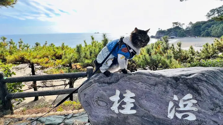 桂浜を散歩 高知のご当地キャラに会えました 猫の本能も発揮した楽しい休日