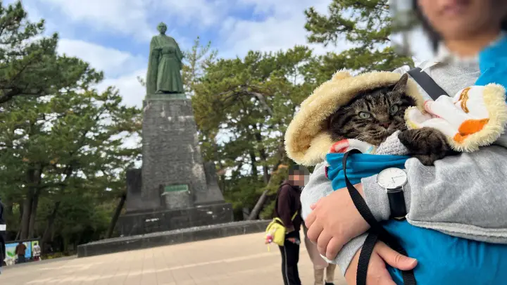 桂浜を散歩 高知のご当地キャラに会えました 猫の本能も発揮した楽しい休日