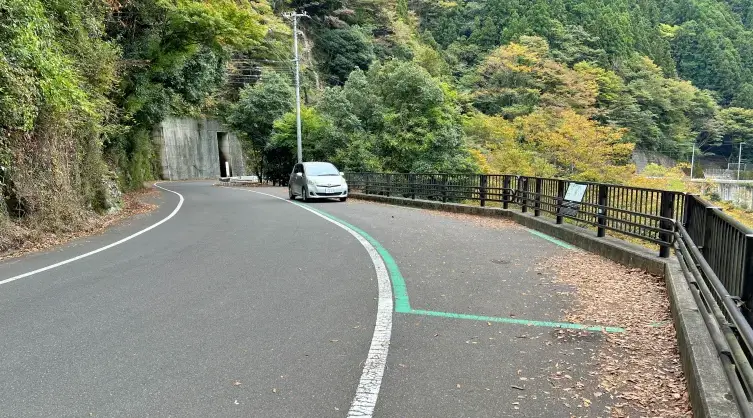 【徳島・祖谷渓】ひの字渓谷と小便小僧を猫と観光｜紅葉絶景ドライブ体験記