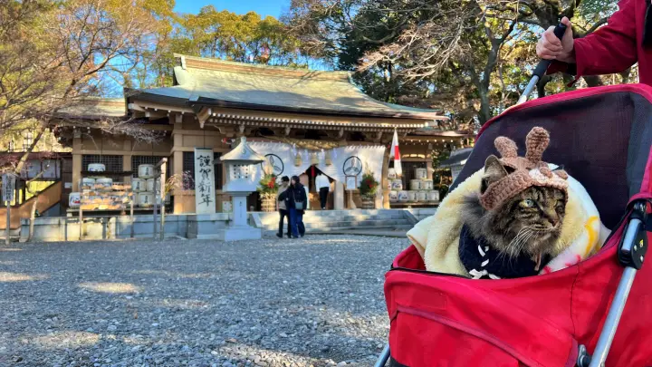 山内神社へ初詣と居合奉納