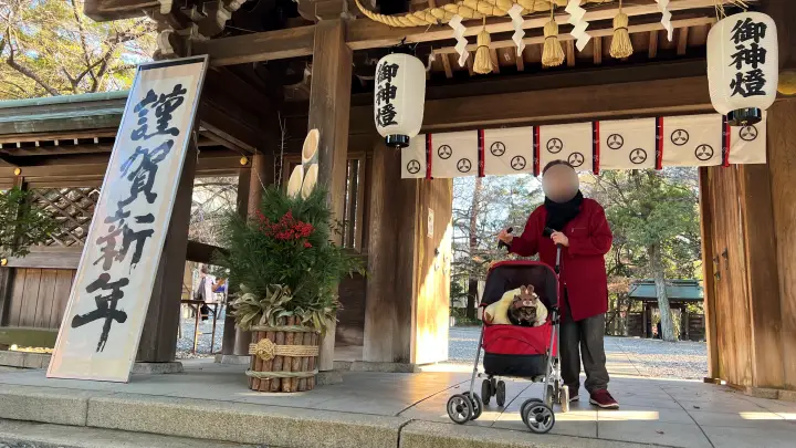 山内神社へ初詣と居合奉納