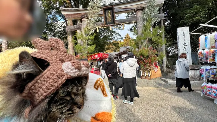 土佐神社（しなね様）