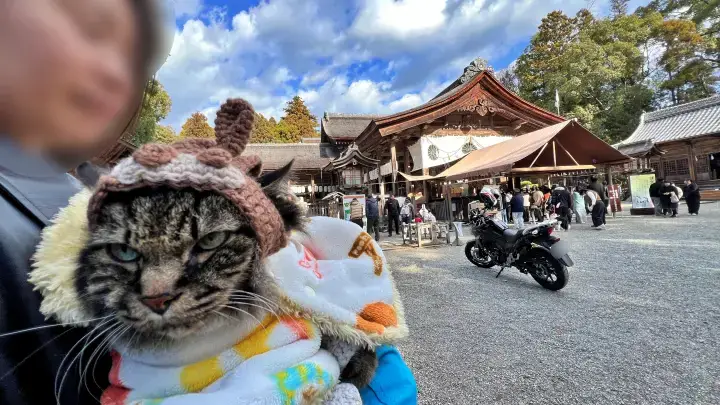 土佐神社（しなね様）