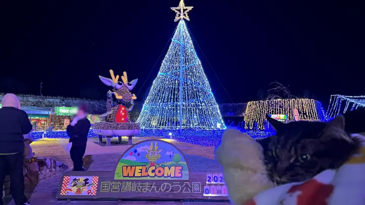 2025年 まんのう公園 イルミネーション