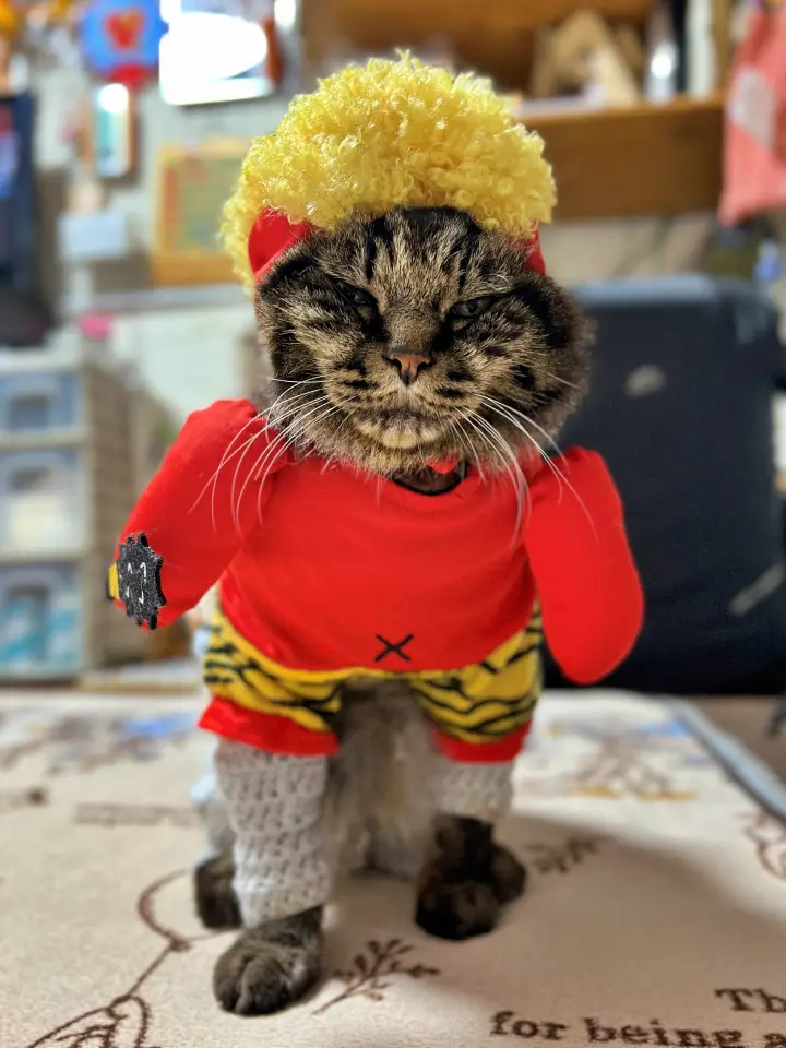 節分の鬼役も高齢化なんです。 トラ鬼は半分寝ながら豆まきしました。