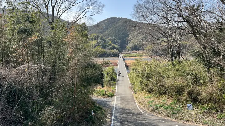 【レア絶景】水がない四万十川・佐田沈下橋を歩く!ペットと一緒に楽しむ特別なお出かけ