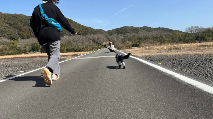 【レア絶景】水がない四万十川・佐田沈下橋を歩く!ペットと一緒に楽しむ特別なお出かけ