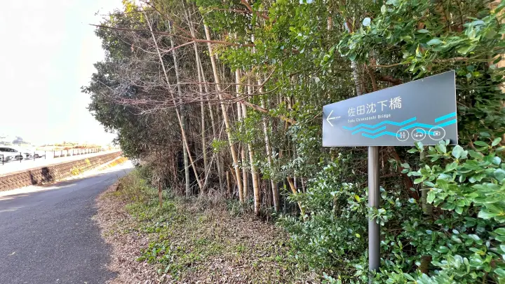 【レア絶景】水がない四万十川・佐田沈下橋を歩く!ペットと一緒に楽しむ特別なお出かけ