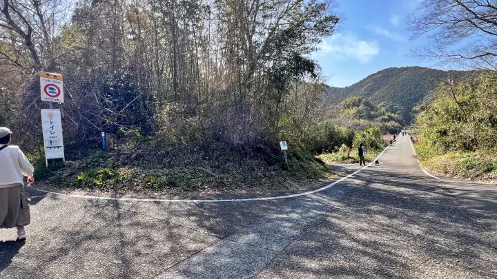 【レア絶景】水がない四万十川・佐田沈下橋を歩く!ペットと一緒に楽しむ特別なお出かけ