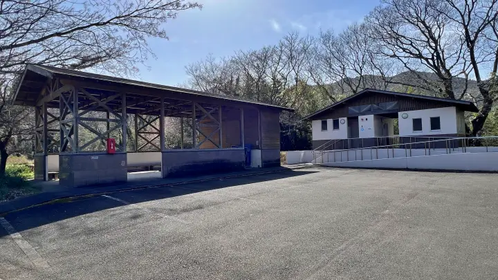 【レア絶景】水がない四万十川・佐田沈下橋を歩く!ペットと一緒に楽しむ特別なお出かけ