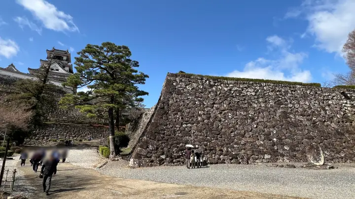 【高知城】「しだれ梅」をペット(猫)と見ながら散歩 ペットが行ける範囲とスロープと階段での行き方