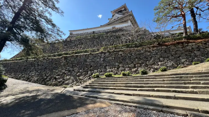 【高知城】「しだれ梅」をペット(猫)と見ながら散歩 ペットが行ける範囲とスロープと階段での行き方
