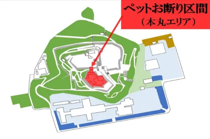 【高知城】「しだれ梅」をペット(猫)と見ながら散歩 ペットが行ける範囲とスロープと階段での行き方