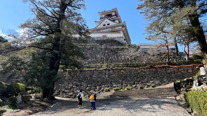 【高知城】「しだれ梅」をペット(猫)と見ながら散歩 ペットが行ける範囲とスロープと階段での行き方