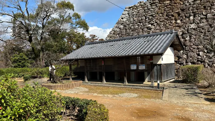 【高知城】「しだれ梅」をペット(猫)と見ながら散歩 ペットが行ける範囲とスロープと階段での行き方