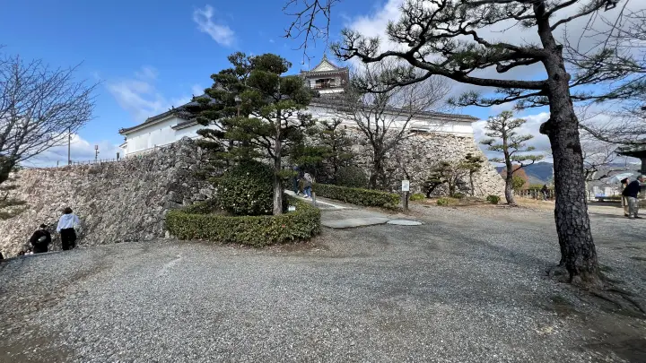 【高知城】「しだれ梅」をペット(猫)と見ながら散歩 ペットが行ける範囲とスロープと階段での行き方