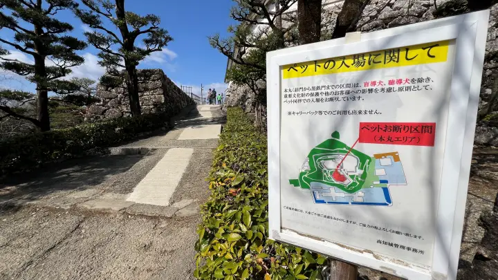 【高知城】「しだれ梅」をペット(猫)と見ながら散歩 ペットが行ける範囲とスロープと階段での行き方