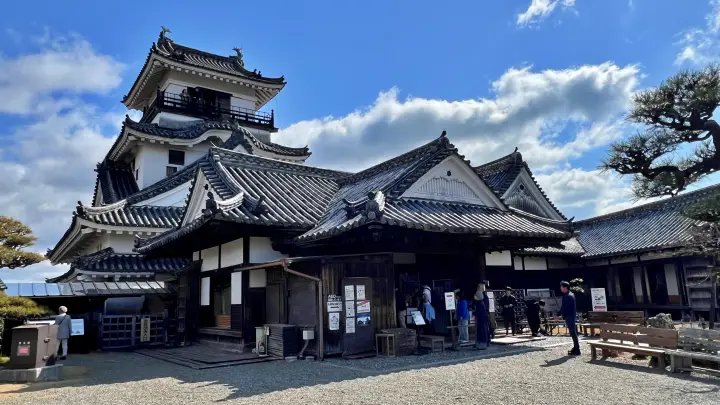 【高知城】「しだれ梅」をペット(猫)と見ながら散歩 ペットが行ける範囲とスロープと階段での行き方