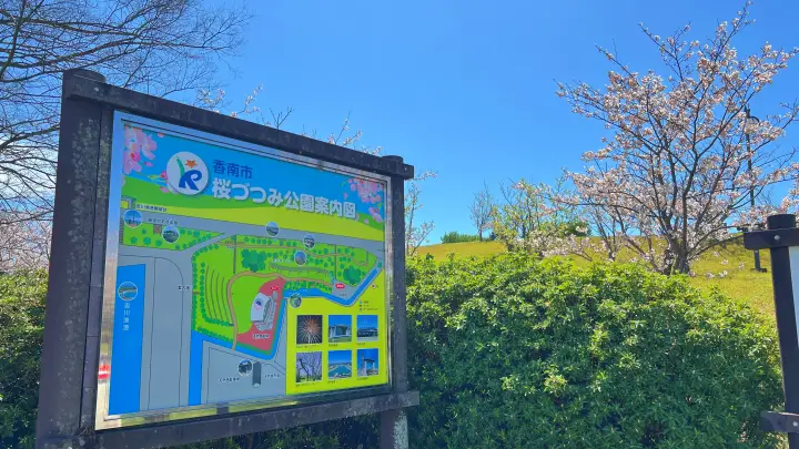 【高知】香南市「桜づつみ公園」ペットと行けるお花見ガイド！桜と猫と飛行機が見える穴場スポット