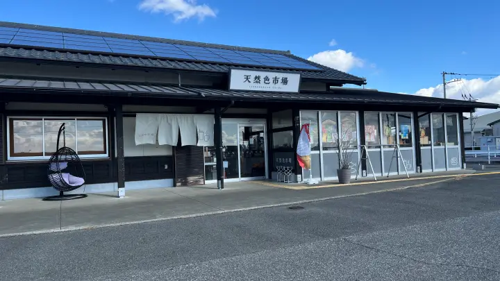 【高知】香南市「桜づつみ公園」ペットと行けるお花見ガイド！桜と猫と飛行機が見える穴場スポット