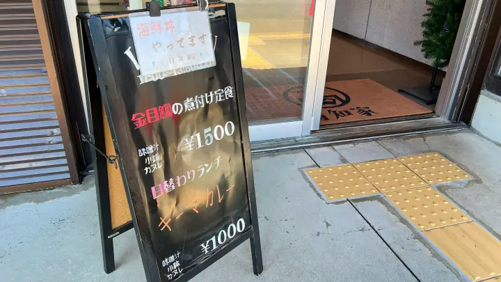 【高知】香南市「桜づつみ公園」ペットと行けるお花見ガイド！桜と猫と飛行機が見える穴場スポット