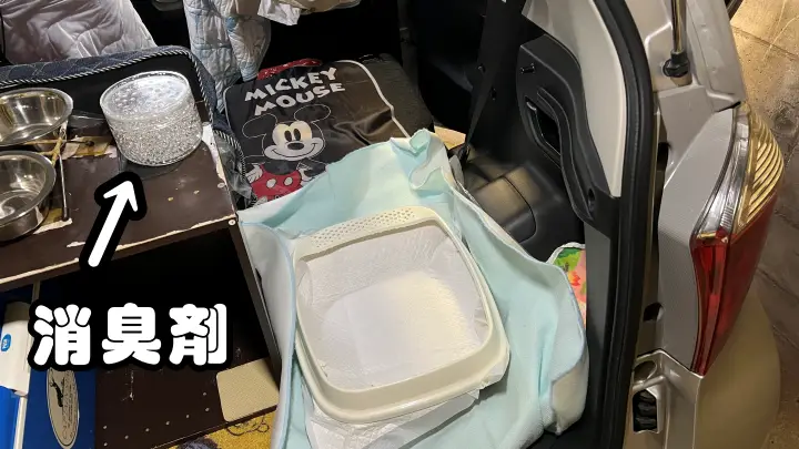 シニア猫と旅行する前に必読｜ペットシーツ・健康管理・持ち物完全ガイド