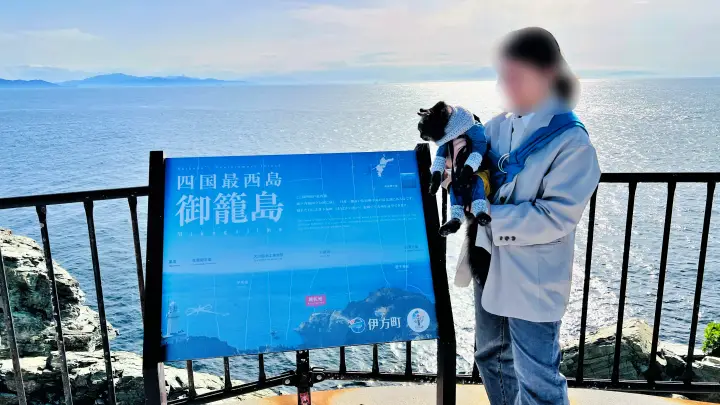 【佐田岬・御籠島】四国最西端の島を猫と散策 展望台のモニュメントや絶景・歴史ある砲台を巡る